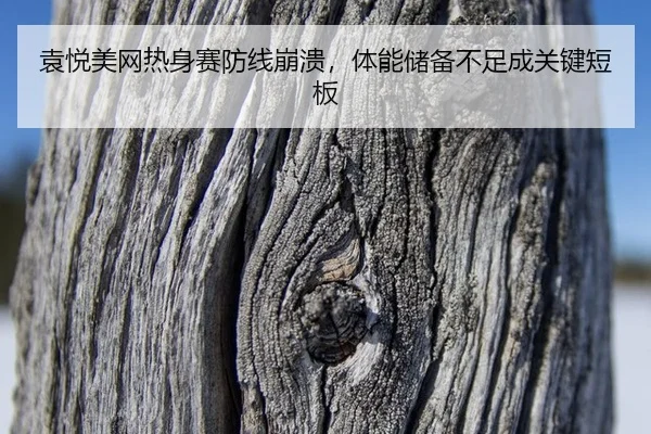 yuan-yue-mei-wang-re-shen-sai-fang-xian-beng-kui-ti-neng-chu-bei-bu-zu-cheng-guan-jian-duan-ban-3-632.jpg