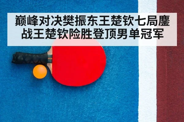 table tennis racket