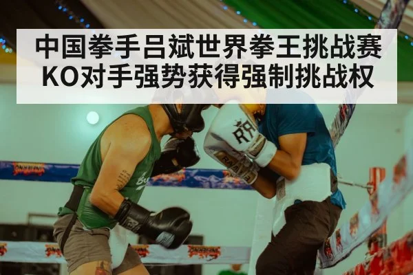 中国拳手吕斌世界拳王挑战赛KO对手强势获得强制挑战权