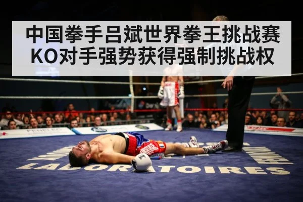 boxer knockout